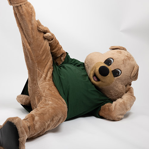 Ein lächelndes Maskottchen in Bären-Kostüm mit grünem Shirt posiert verspielt.