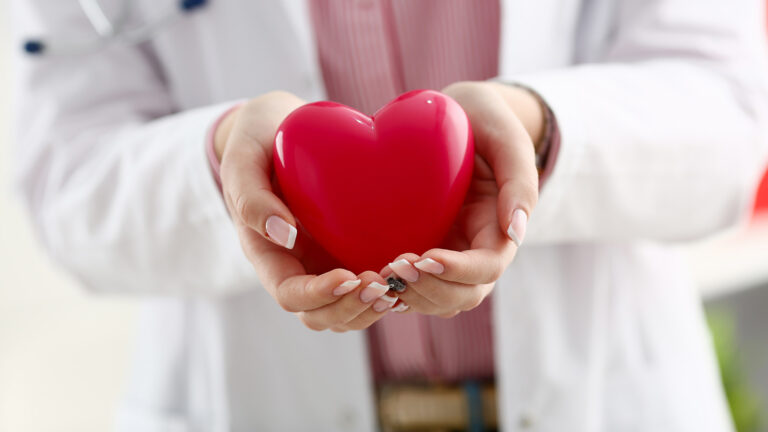 Eine Person im weißen Kittel hält ein rotes Herzmodell freundlich in den Händen